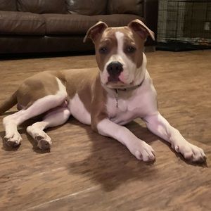 Meet your Posher, Becky